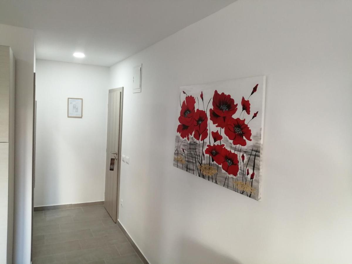 Studio Istra 로비니 외부 사진